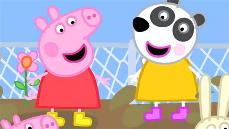 Peppa Pig Full Episodes Season 8 Compilation 12 Kids Video Youtube