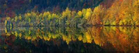 4554933 Mountains Trees Calm Lake Fall Forest Landscape