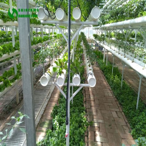 Le système hydroponique nft (nutrients film technics) ne nécessiste pas de substrat mais il requiert cependant une solution nutritive sans pathogène. Chine Système de la culture hydroponique Nft commercial ...