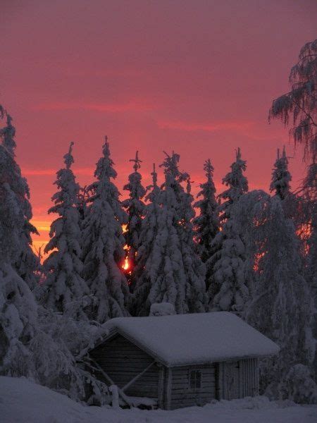 Nature Winter Snow Forest Photography Cabin Sunset Winter