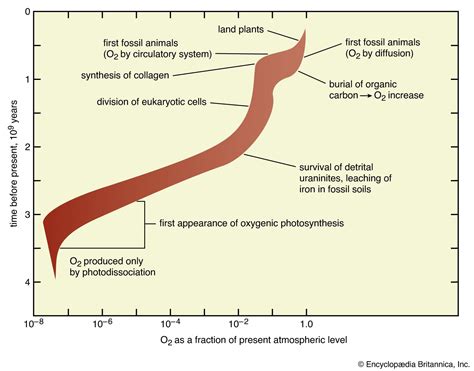 Evolution Of The Atmosphere History Composition Changes And Facts