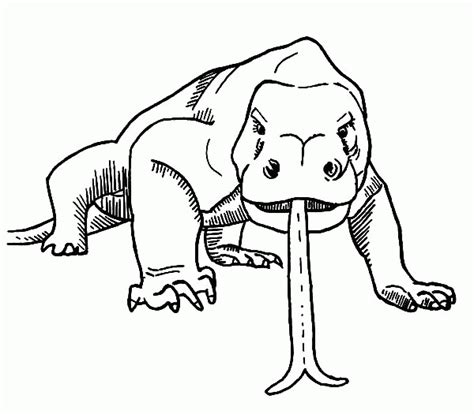 Komodo Dragon Coloring Pages Free Coloring Pages