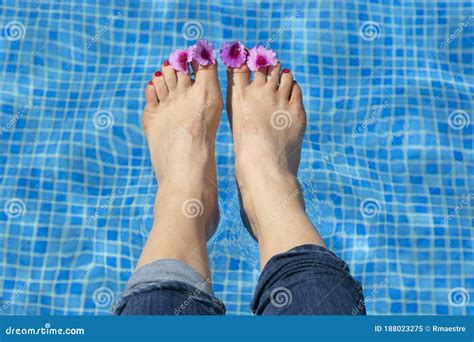 Feet With Flower Leaves On Your Toes In A Pool Stock Image Image Of