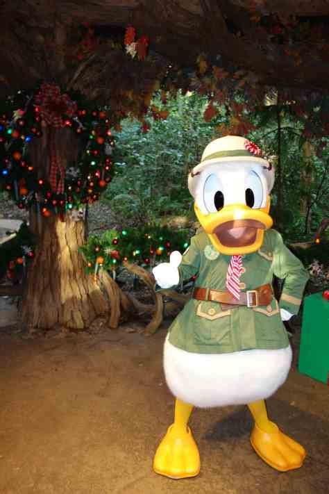 Donald Duck In Animal Kingdom