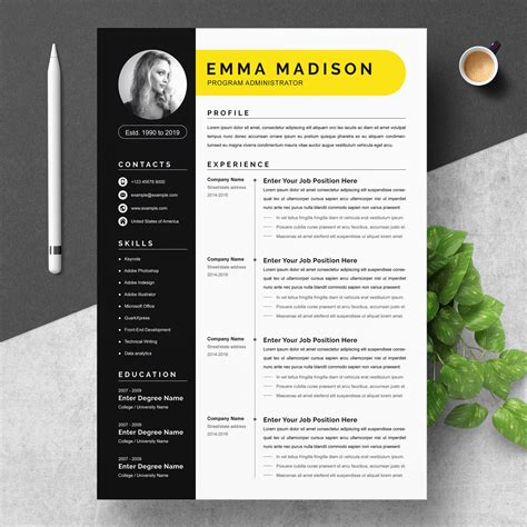Clean And Modern Resume Template Word Resume Templates Creative Market