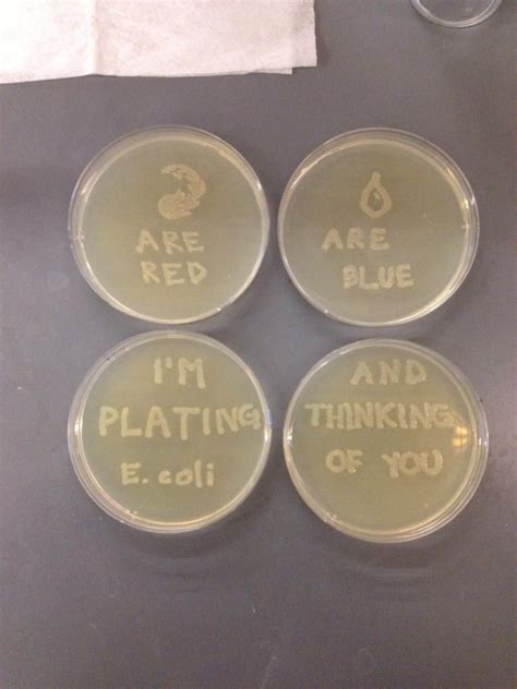 When Your Girlfriend Is Microbiologist Science Jokes Nerdy Humor