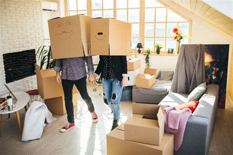 8000 Moving Day Funny Stock Photos Pictures And Royalty Free Images