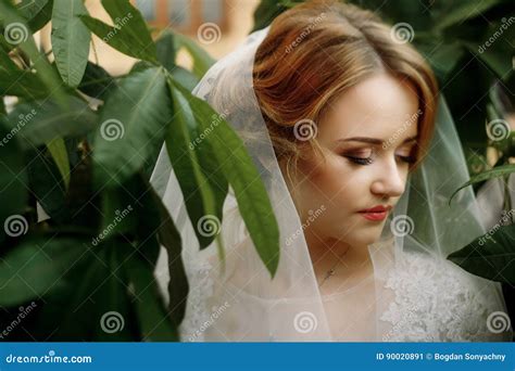 Amazing Bride Portrait With Green Leaves And Sensual Posing Elegant