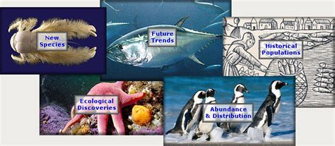 Marine Life Discoveries Coml Census Of Marine Life