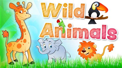 The Animals For Kids Wild Animals English Vocabulary