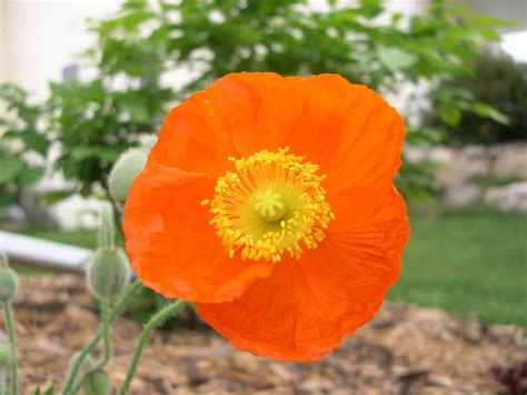 Quarry Hill Neighborhood Association | Fitchburg WI