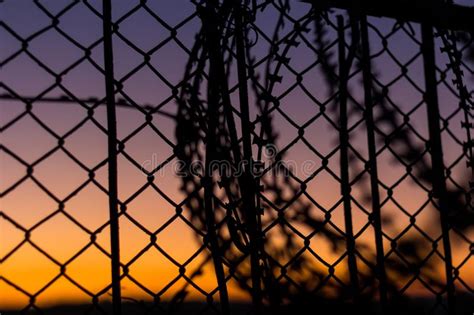 1253 Razor Wire Silhouette Stock Photos Free And Royalty Free Stock