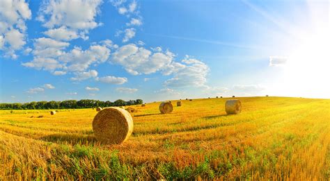 Are You Ready For The Hay Harvest Season