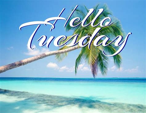 Happy Tuesday Coastal Lovers Florida Poster Beach Time Day For Night