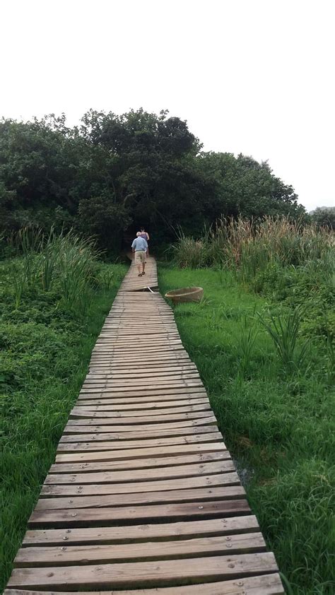 Walking On Natural Path In The Hawaan Forest Umhlanga May 2019