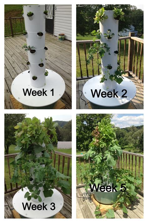 Look At What You Could Be Growing In Your Very Own Aeroponic Tower