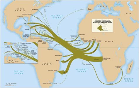 A Digital Archive Of Slave Voyages Details The Largest Forced Migration