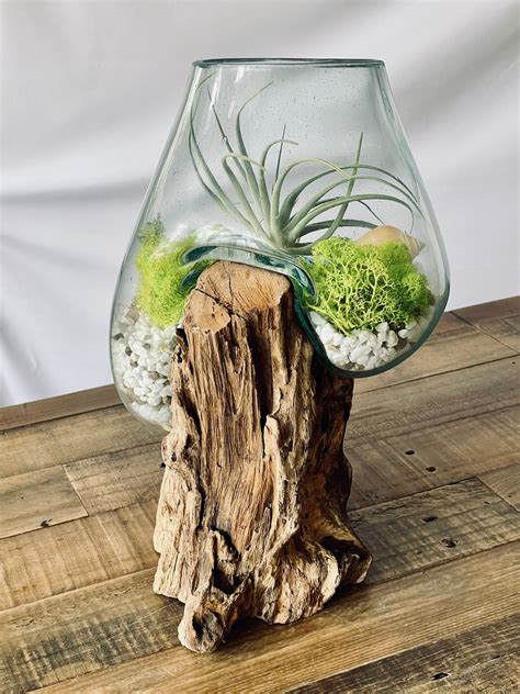 Extra Large Molten Glass On Wood Root Base Diy Plant Etsy