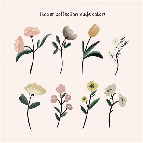 Premium Vector Flower Collection Nude Colors