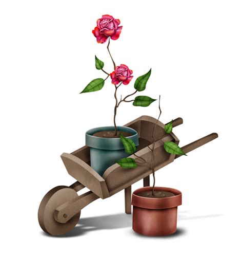 Forgetmenot Wheelbarrows And Flowers