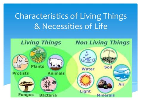 Working definitions of principal concepts. Natural Science for 5 and 6. : 6º. Unit 4.LIVING THINGS