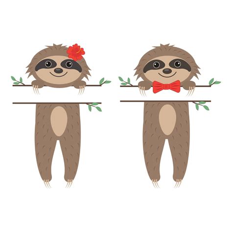 Cute Sloth Character Boy And Girl With Text Separator Color Isolated