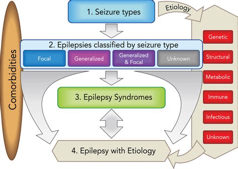 Framework For Epilepsy Classification The Etiological Framework Can