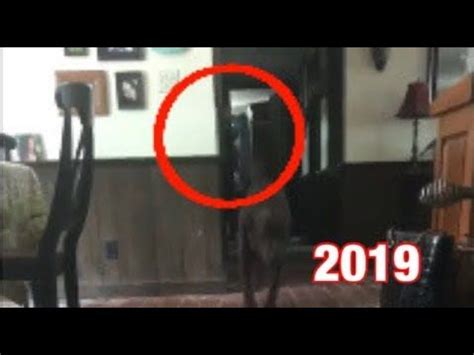 It is just some sort of light are shadow that shows on the camera. the footage has since been shared on reddit, with many people speculating it could be a ghost. Pin on Kỳ lạ