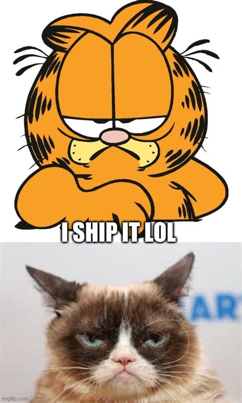 Grumpy Cat Meme Generator