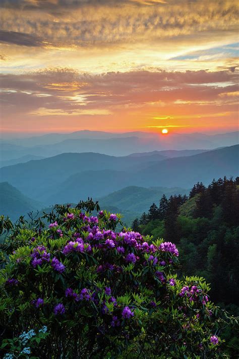 About two miles south of where the parkway ends at highway 441, the oconaluftee indian village recreates life in a cherokee village in the 1760s. Blue Ridge Parkway Asheville Nc Rhododendron Sunset Scenic ...