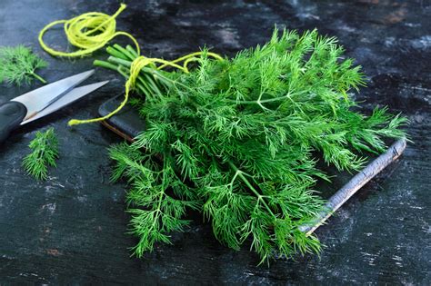 10 Herbs And What To Pair Them With