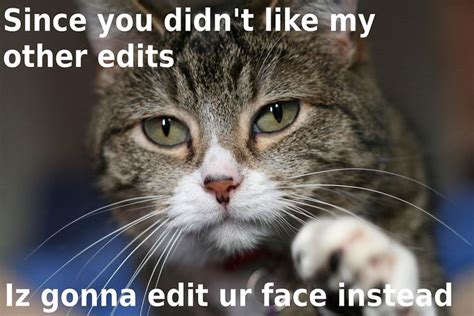 A Close Up Of A Cat With A Caption That Reads Since You Didn T Like My Other Edits