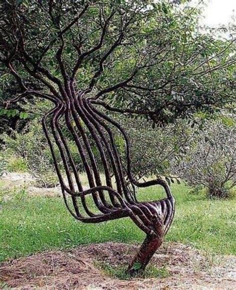 Artist Peter Cook Grew This Living Garden Chair Using Tree Shaping