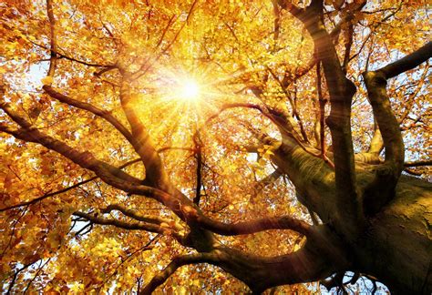 Vitamin d ist ein fettlösliches vitamin, das wichtig ist für starke knochen, das zellwachstum, das immunsystem, die aufnahme von mineralien wie calcium und phosphor und auch noch für zahlreiche weitere prozesse im körper. 5 Symptome von Vitamin-D-Mangel » Gesundheit