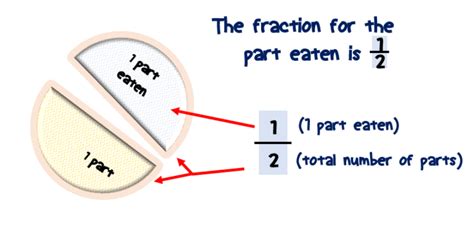 Fraction Explaination Math Lover