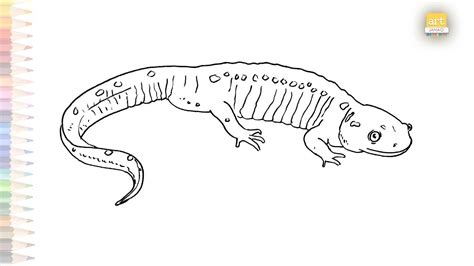 Spotted Salamander Drawing How To Draw Salamander Step By Step Easy