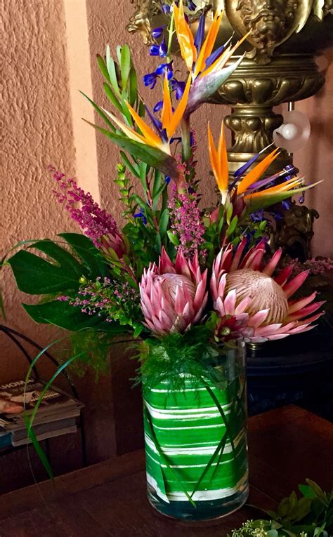 Birds Of Paradise And Protea