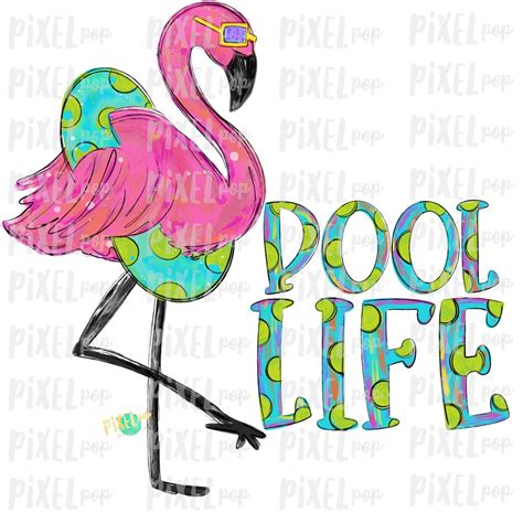 Find the perfect pink flamingo float stock illustrations from getty images. Flamingo Float Pool Life PNG | Pink Flamingo Sublimation ...