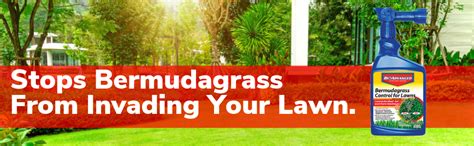 Bioadvanced 704100b Bermudagrass Control For Lawns Weed Killer Ready To