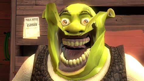 Shrek Is Love Shrek Is Life Original Sfm Cute Memes Shrek Memes