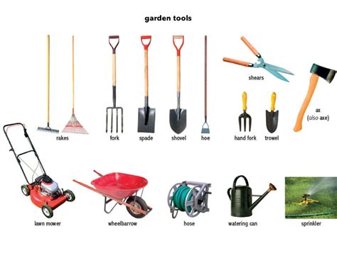 The Best Gardening Tools [Infographic] — Home-blogger.com gambar png