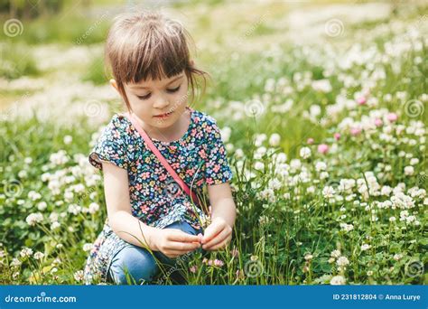 Cute Little Girl Sitting On A Clover Field Stock Photo Image Of Field