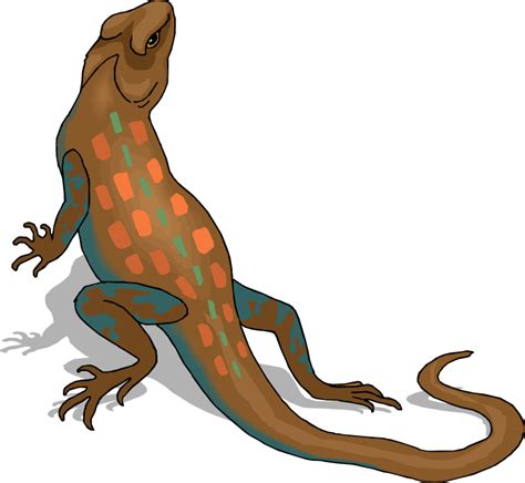 Spotted Lizard Clipart Clipart