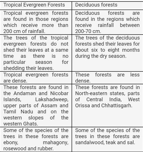 Difference Between Evergreen Forest And Deciduous Forest In 200 Words