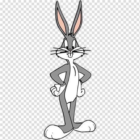 Bugs Bunny Porky Pig Looney Tunes Cartoon Rabbit Transparent