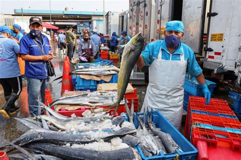 Gobierno Evalúa Ampliar Pesca De Jurel Y Caballa Para Atenuar Alza De