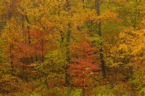 Fall Color In Western Maryland I See Beauty All Around