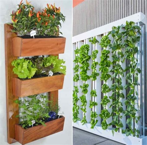 Suitable Plants For Vertical Gardening A Full Guide Gardening Tips