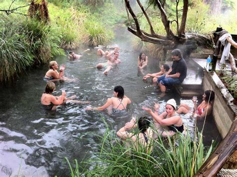 Free Natural Hot Pools In Rotorua New Zealand Travel Guide North