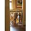 Custom Dog Gate For These Beautiful Goldens  Antietam Iron Works